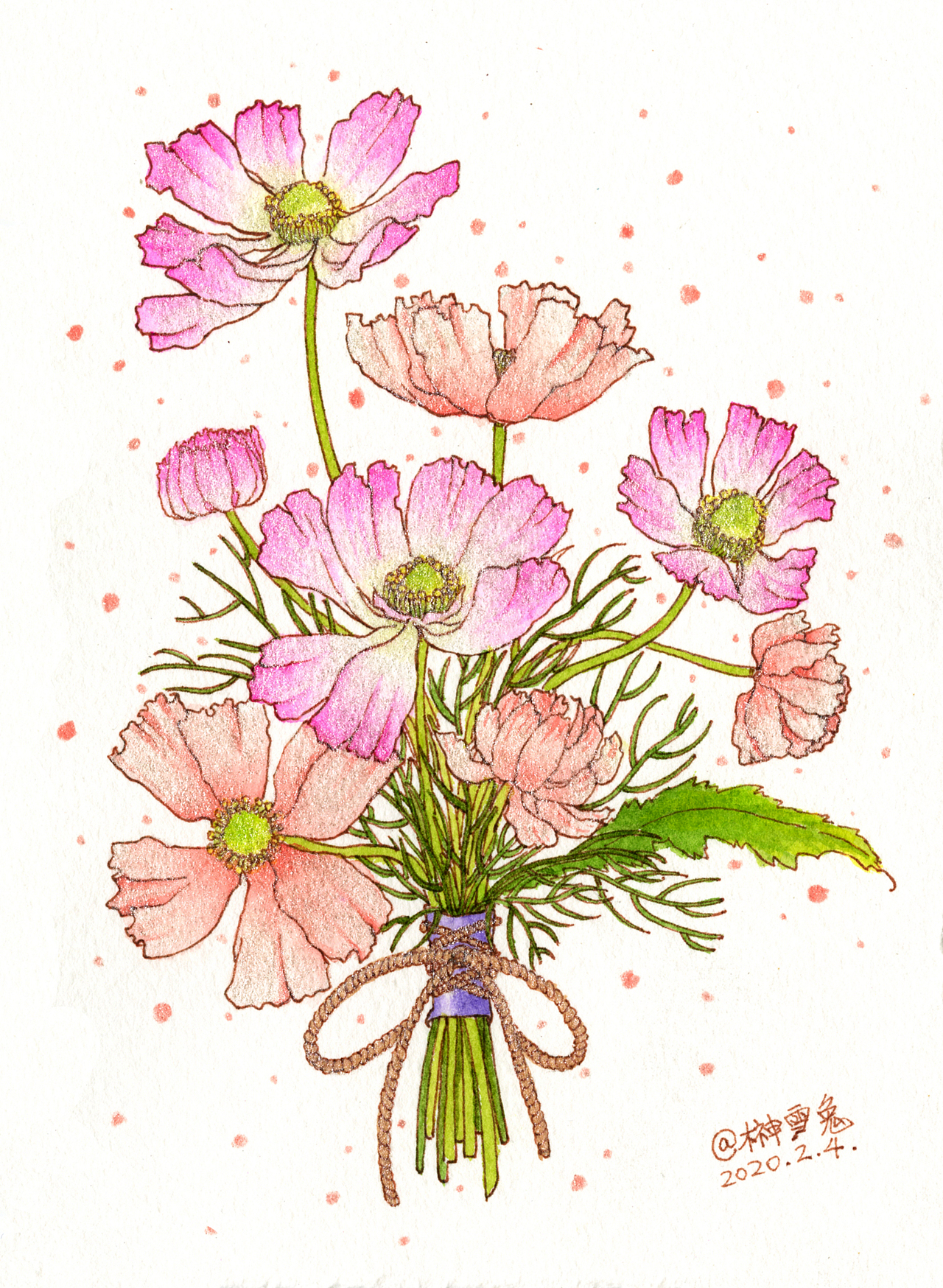 钢笔淡彩|【波斯菊花束】原创