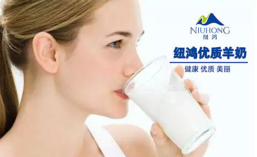 大连纽鸿羊奶（图ZODQ3NDI1MDQ=） - 宣传物料 - 站酷设计师小天使1号原创素材 - 站酷ZCOOL