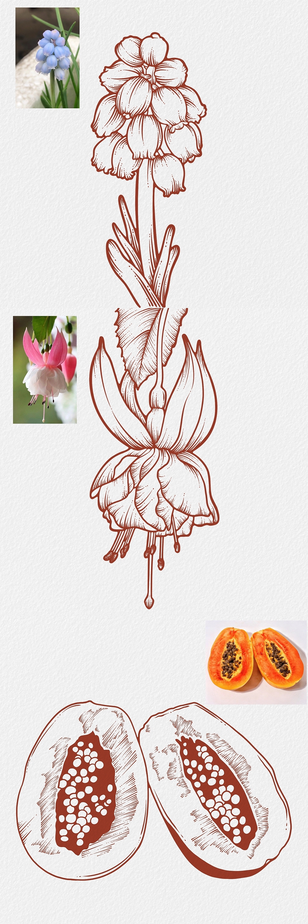 纯线稿（图ZMzM1NTM1Njg0） - 商业插画 - 站酷设计师一颗咸盐原创素材 - 站酷ZCOOL