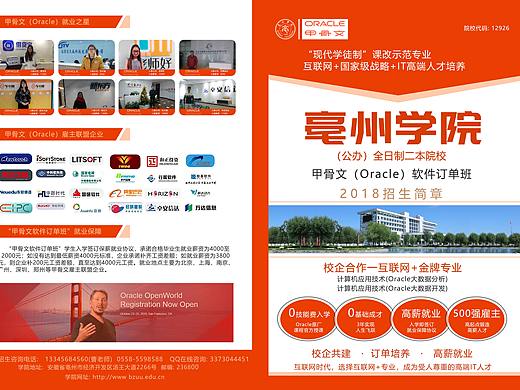 亳州学院-招生简介