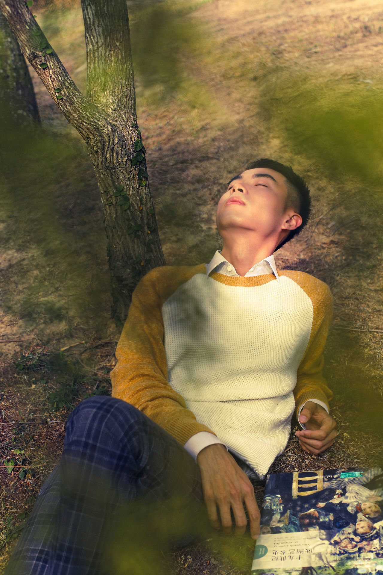 玫瑰与小鹿 ——