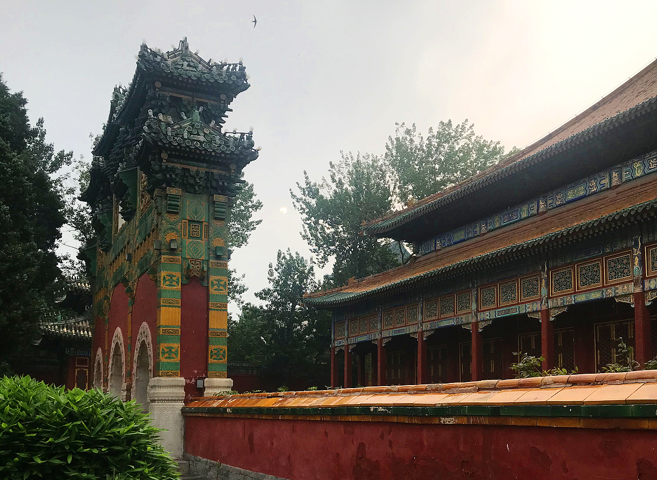 随手拍北京北海公园白塔荷花