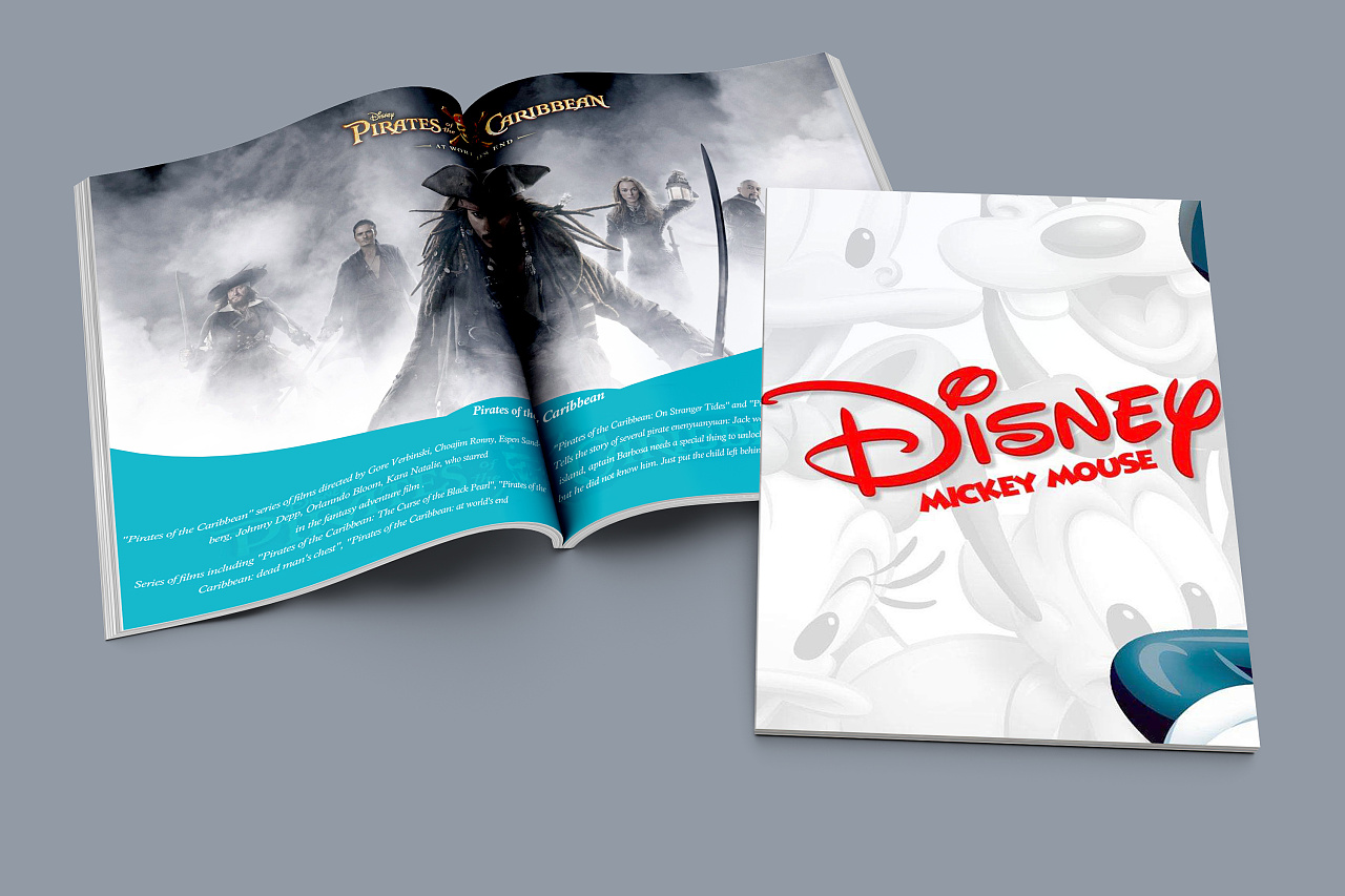 迪士尼文化宣传册