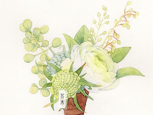 Love Letter 小情书