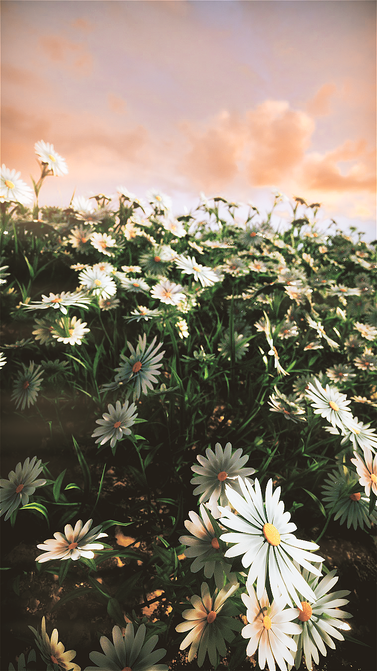 2019上半年个人创作总结