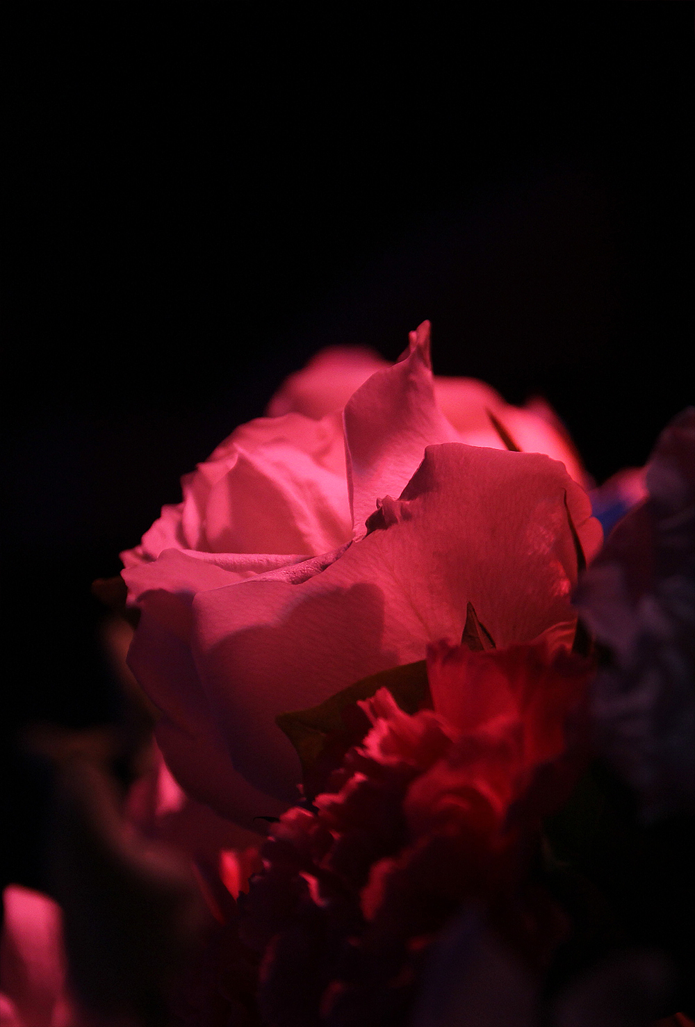 2016-7-2婚礼摄影（图ZNTM2NDkzMzI=） - 人文/纪实摄影 - 站酷设计师1987jms原创素材 - 站酷ZCOOL