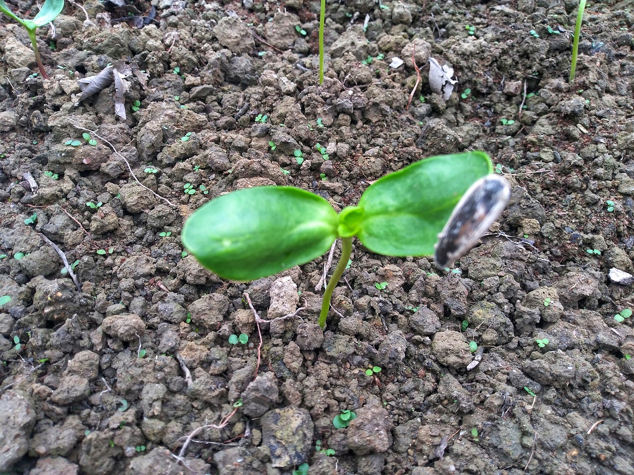 取舍，回归初心（图ZMjgxNDg1ODQ0） - 风光摄影 - 站酷设计师治愈的花园原创素材 - 站酷ZCOOL