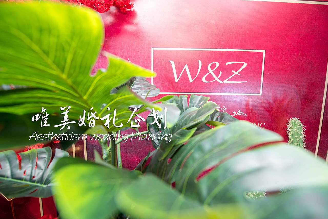 舞钢唯美婚礼企划20191024舞钢大酒店