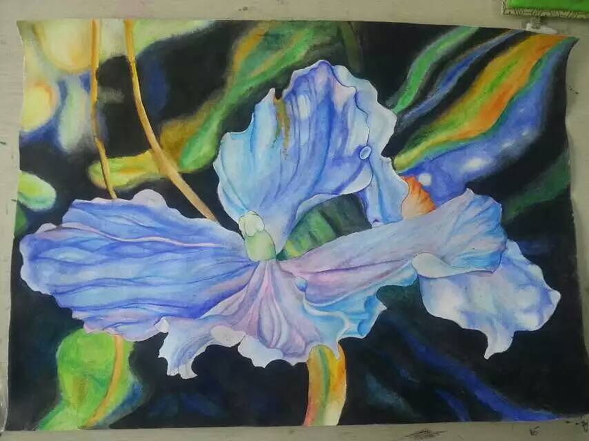 水彩、彩铅、油画、书法、国画……都爱（图ZMzk5OTc1NzI=） - 艺术插画 - 站酷设计师6798au原创素材 - 站酷ZCOOL