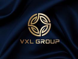 logo    VI