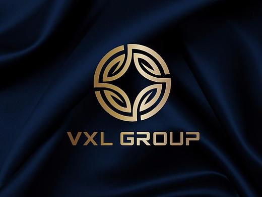 铭德投资公司LOGO标志设计