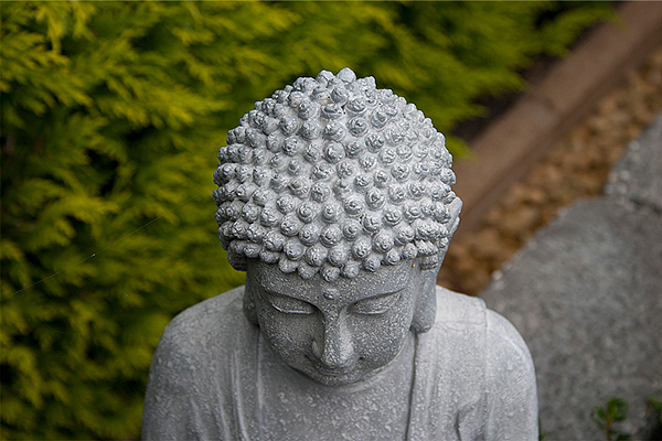 一个更好的地方