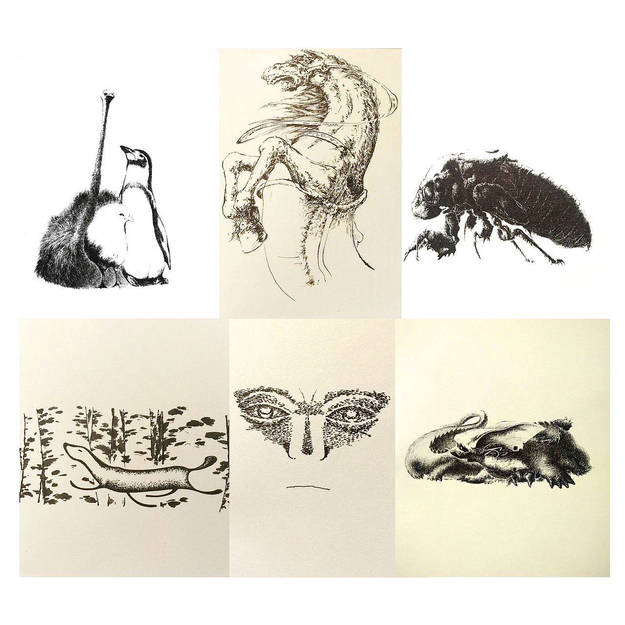 我的本子,挑挑看几张吧