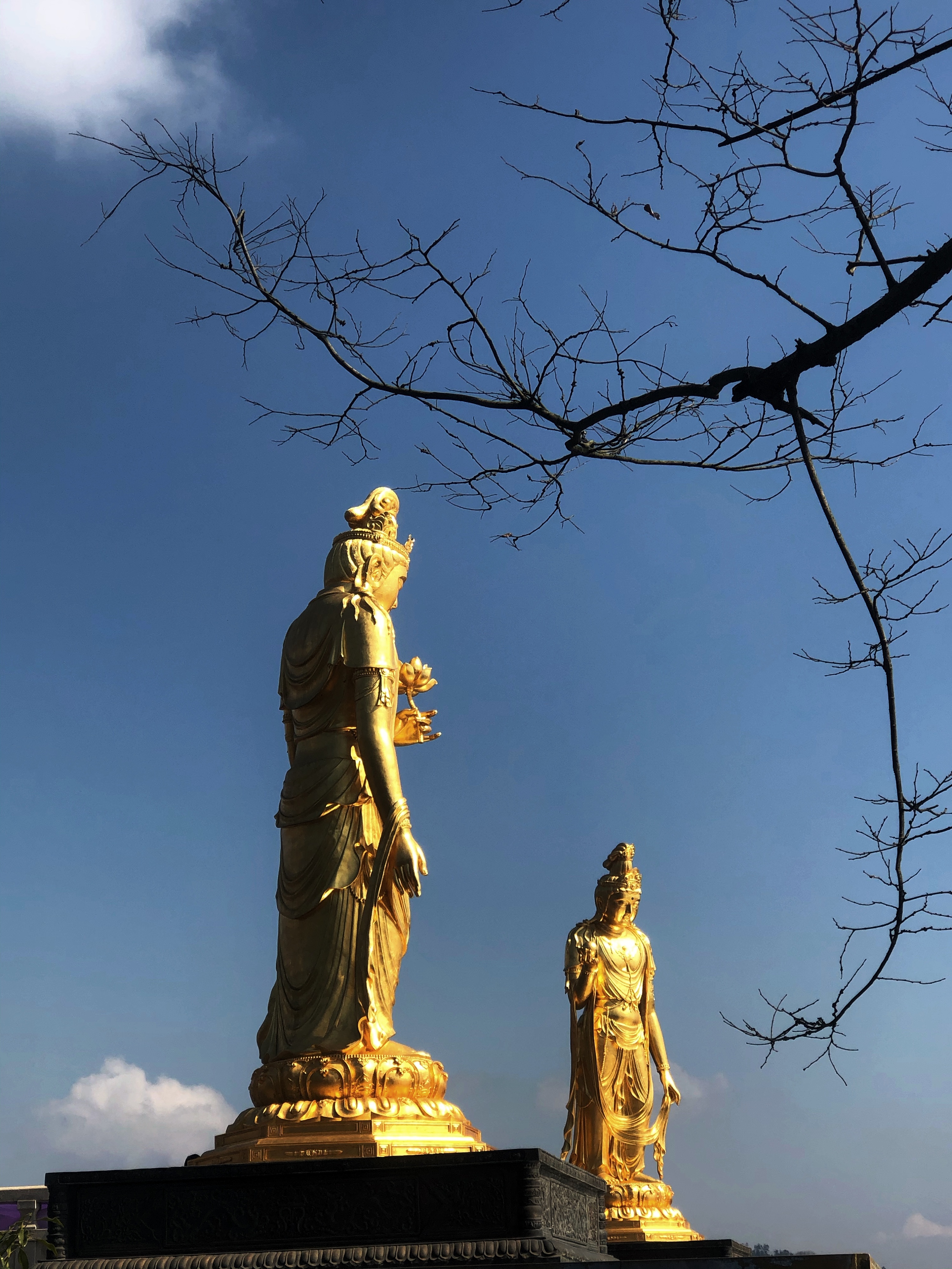 九江丨星子东林大佛(手机游拍)