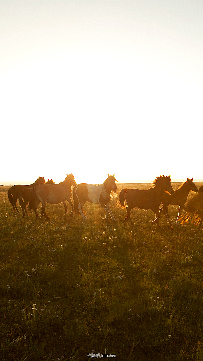 东方晨暮,四季更迭,这一年。