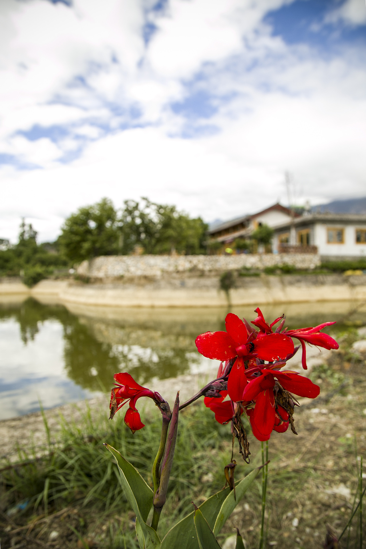 云南之行1——纳雪龙蟠小园