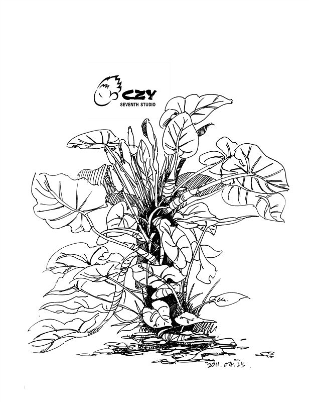 小静物速写写生