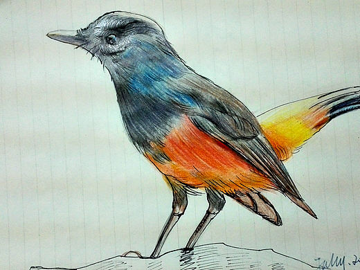 从新开始，从心而绘，实现自己的绘画梦！（个人主页-ZMTMxMDc5Mjg=） - 其他 - 站酷设计师JallyDesign原创素材 - 站酷ZCOOL