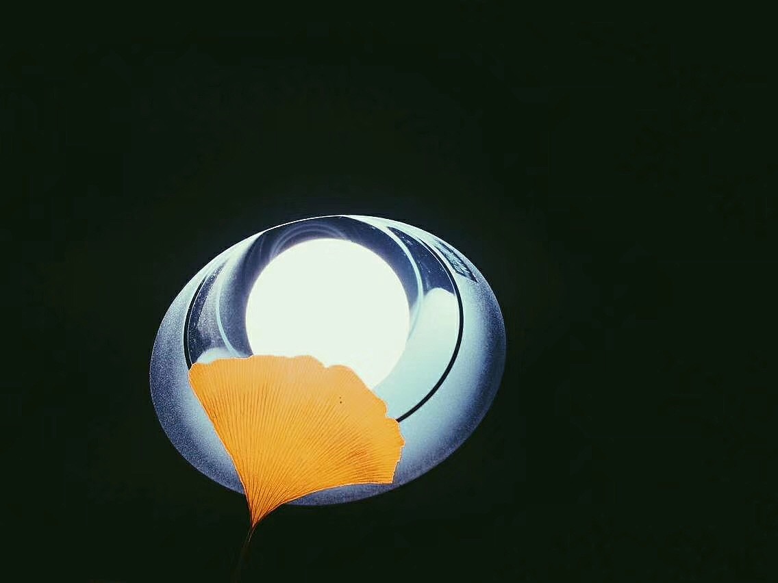 碎\（图ZMjE0ODcxNjI4） - 其他摄影 - 站酷设计师油闷罐原创素材 - 站酷ZCOOL