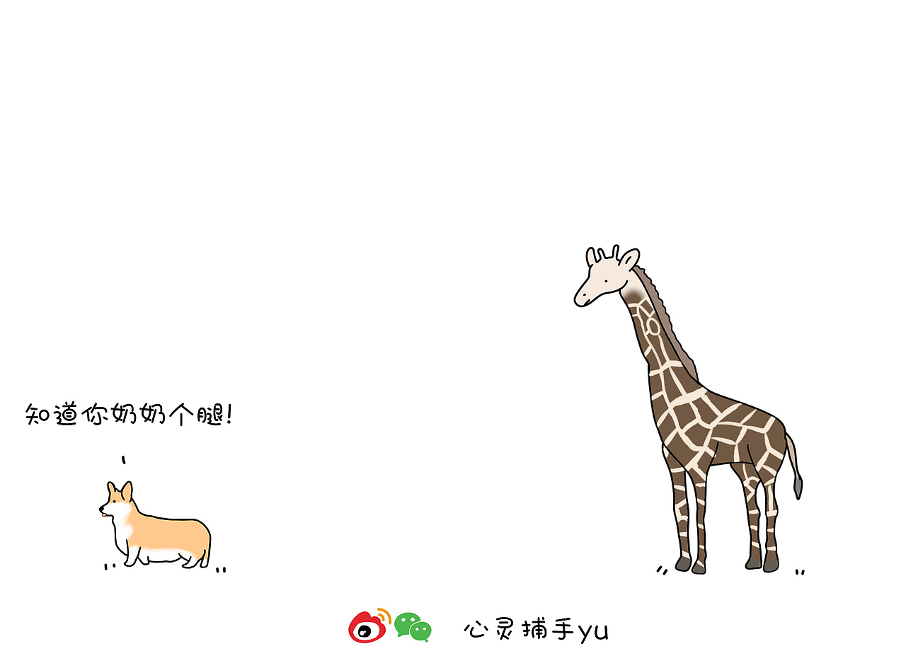 热爱可以抵挡岁月漫长