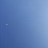 桂林1121的头像
