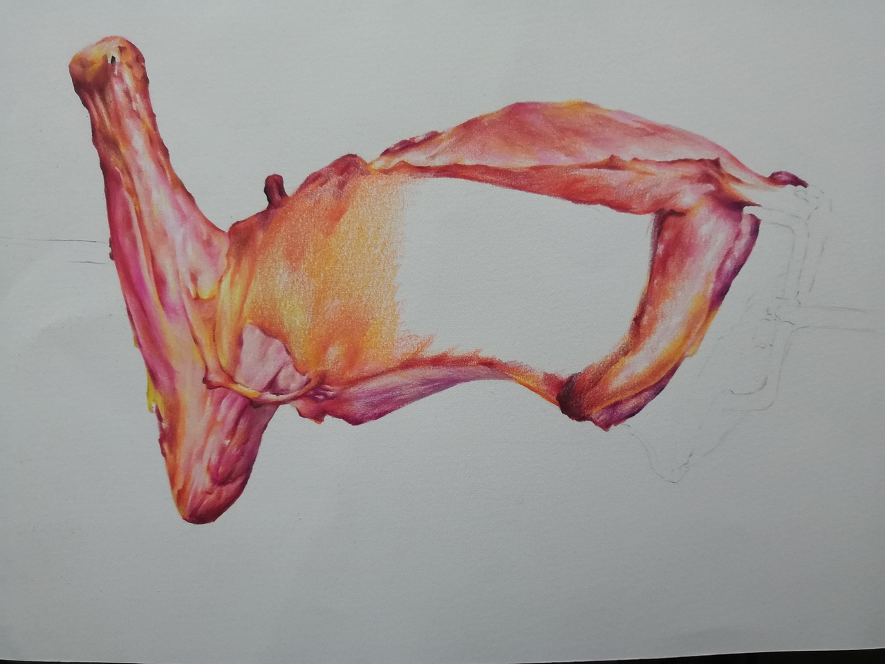 彩铅练习烤羊腿