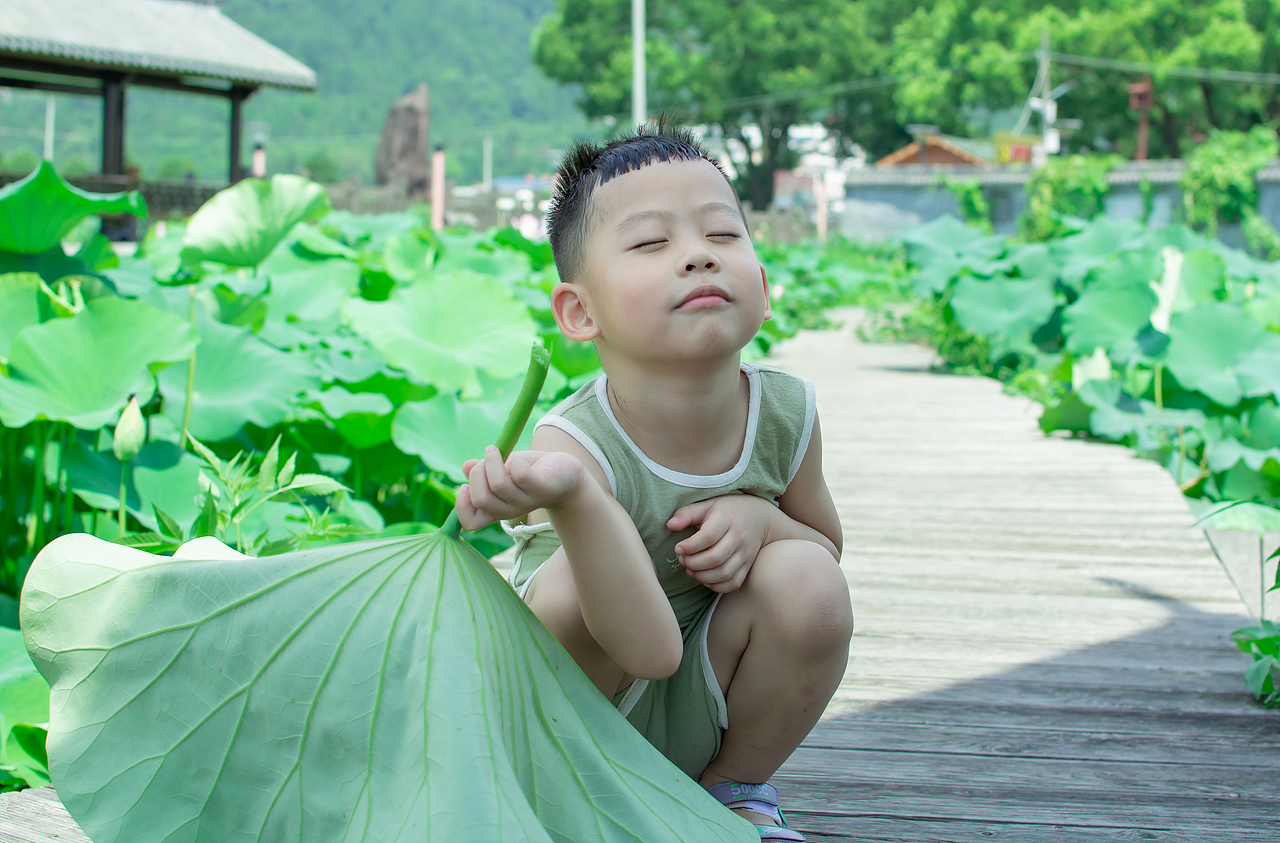荷叶与小童
