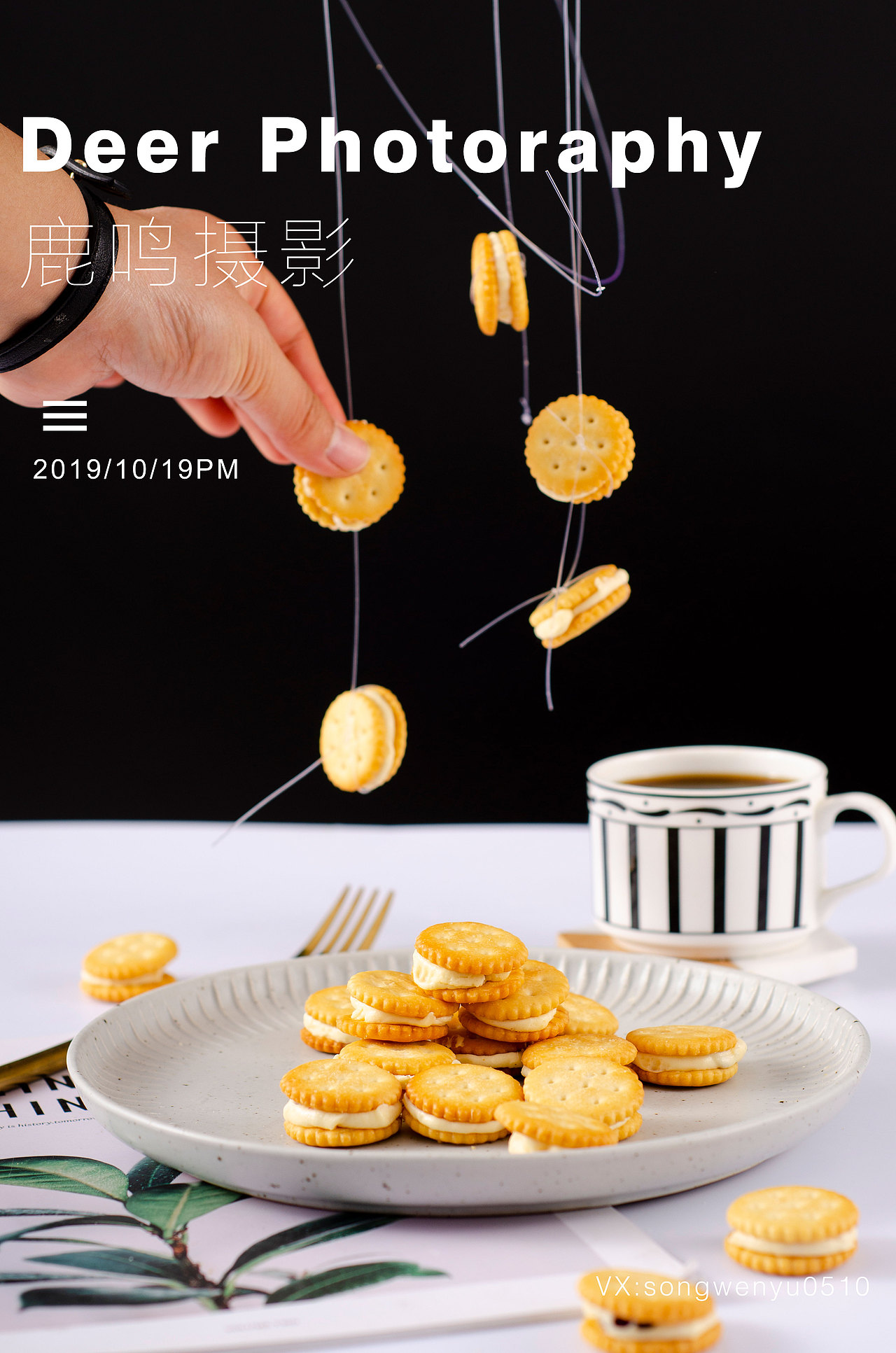 一个跳动的小饼干（图ZMTgxOTY5MjA0） - 产品摄影 - 站酷设计师鹿鸣摄影工作室原创素材 - 站酷ZCOOL