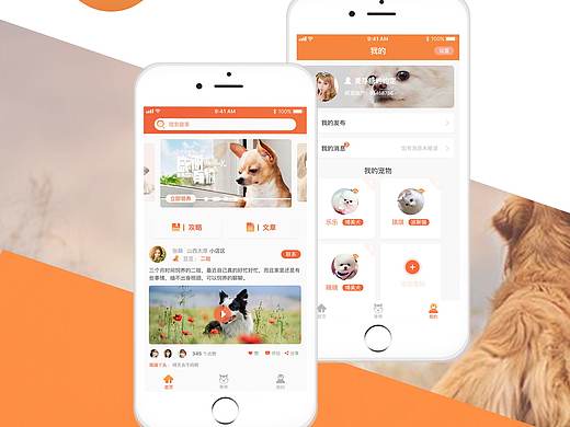 萌寵視覺(jué)（個(gè)人主頁(yè)-ZMzE3NzM4NDA=） - APP界面 - 站酷設(shè)計(jì)師隱姥原創(chuàng)素材 - 站酷ZCOOL