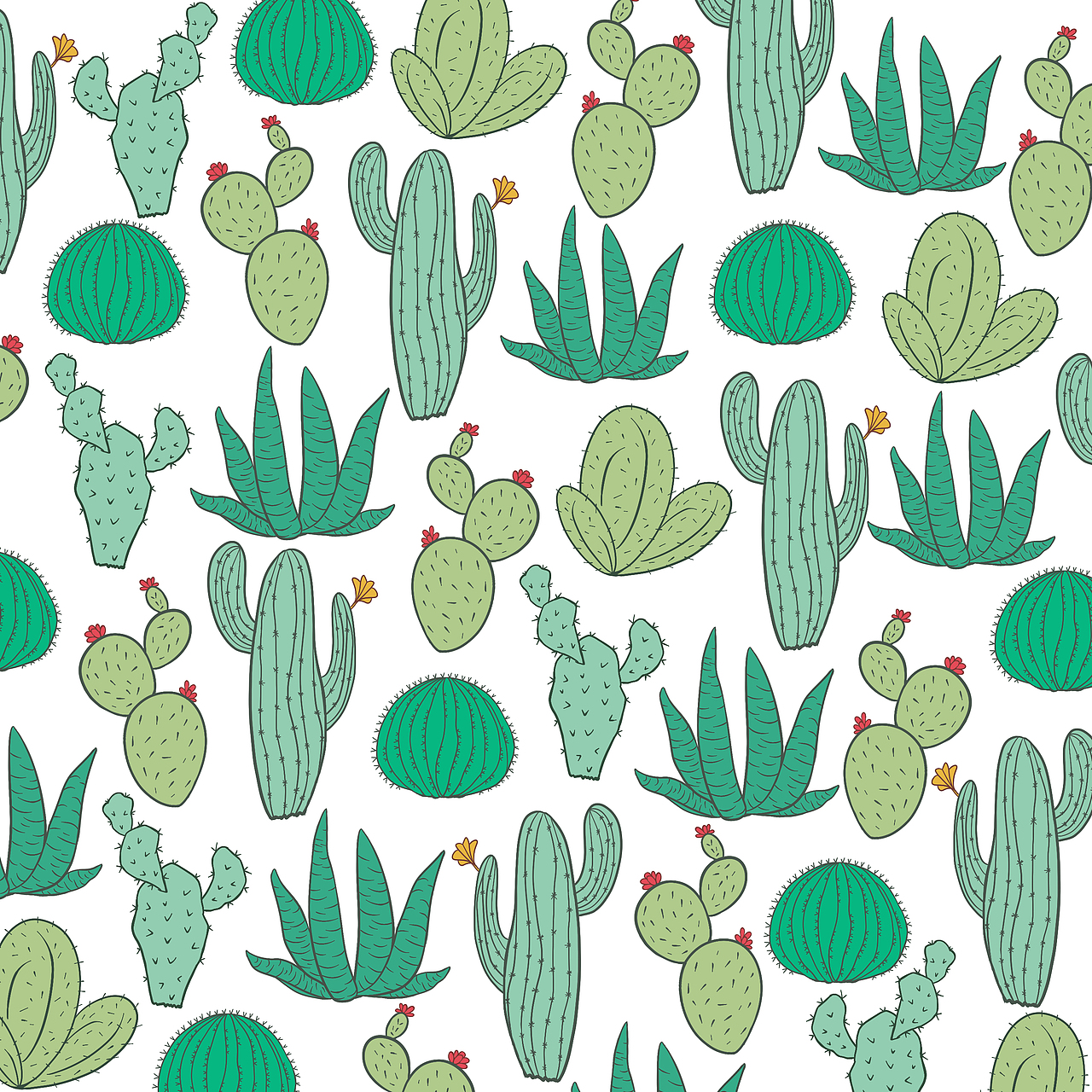 包装插画图案集合