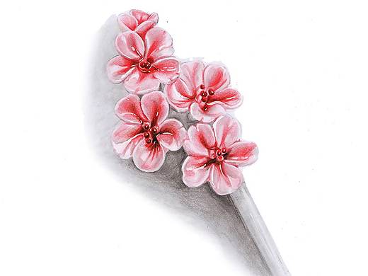 【驴大萌彩铅教程220】手绘古风桃花发簪