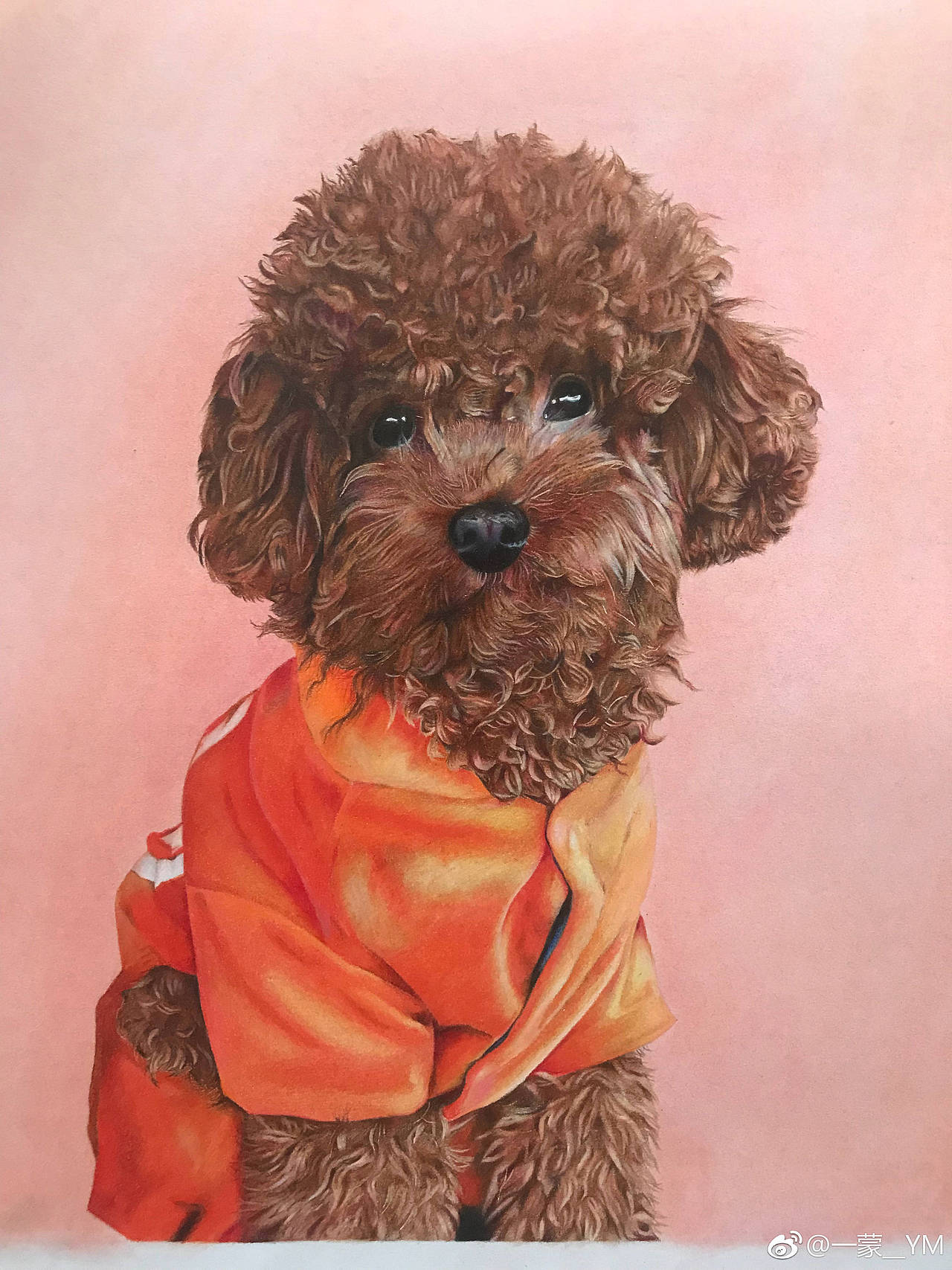 泰迪（图ZMTQxMDczMTk2） - 绘画 - 站酷设计师一蒙原创素材 - 站酷ZCOOL