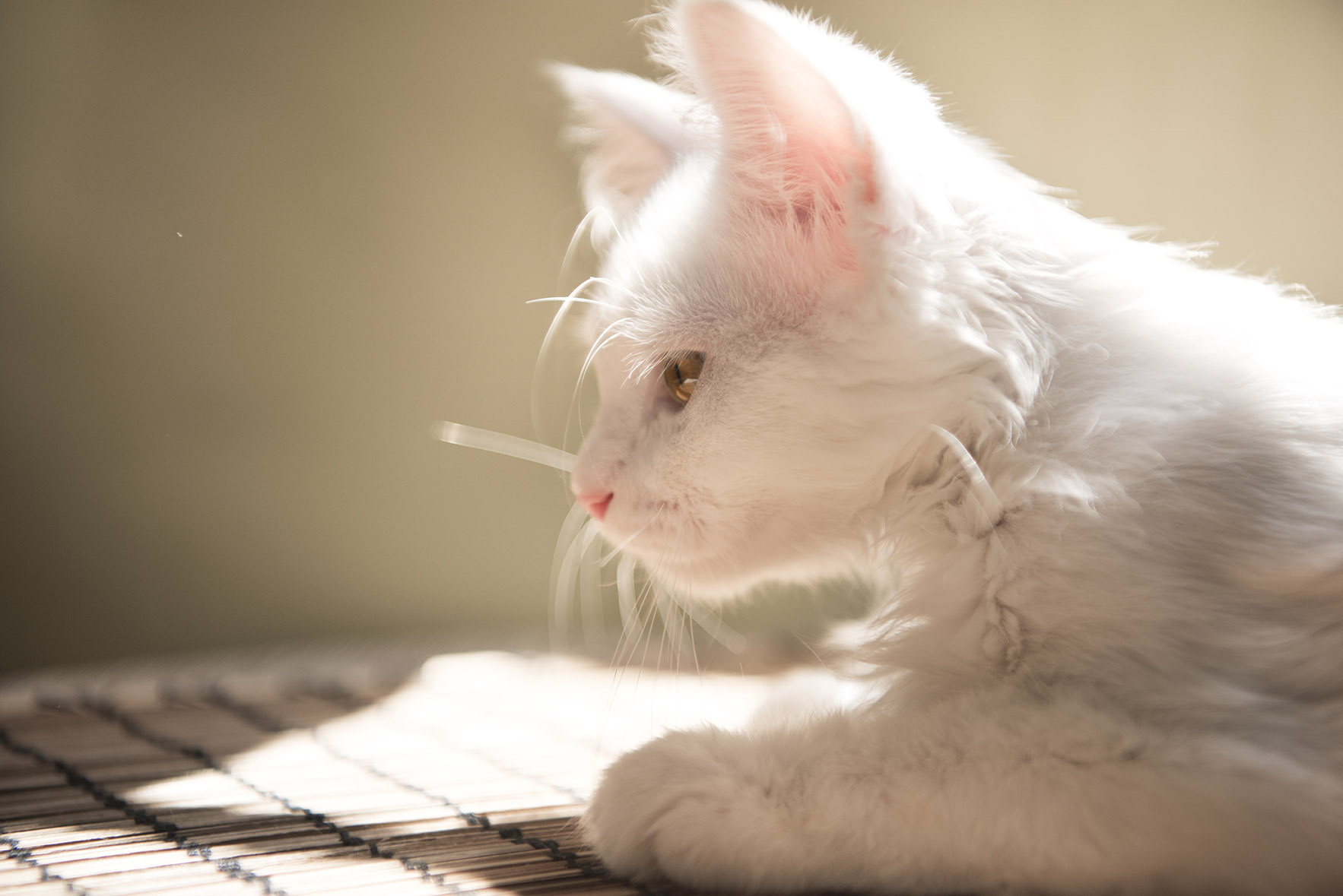 赐我美丽心情的个人主页（封面预览） - 主页封面设置 - 站酷设计师赐我美丽心情原创素材 - 站酷ZCOOL