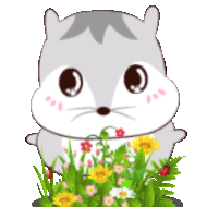 呵呵鼠表情包