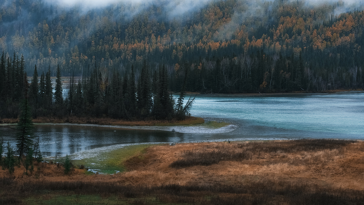 看泡泡的個人主頁（封面預(yù)覽） - 主頁封面設(shè)置 - 站酷設(shè)計師看泡泡原創(chuàng)素材 - 站酷ZCOOL