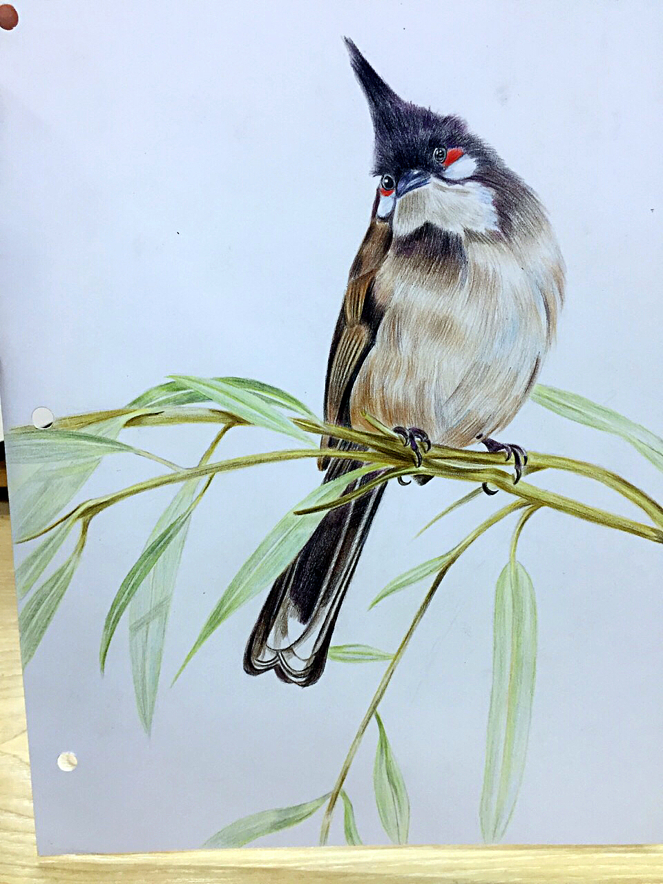 彩铅（图ZNjUwNjgxMzI=） - 创作习作 - 站酷设计师smallfishlcy原创素材 - 站酷ZCOOL