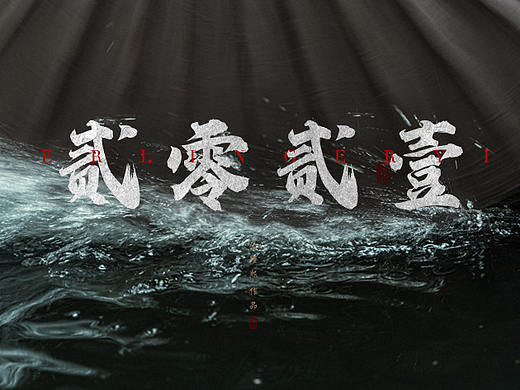 『我的贰零贰壹』 