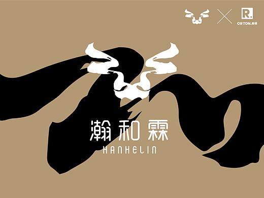 《瀚和霖》品牌形象标志升级 LOGO设计 手机壳LOGO