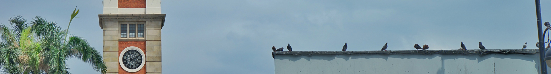 尚尽心的个人主页（封面预览） - 主页封面设置 - 站酷设计师尚尽心原创素材 - 站酷ZCOOL