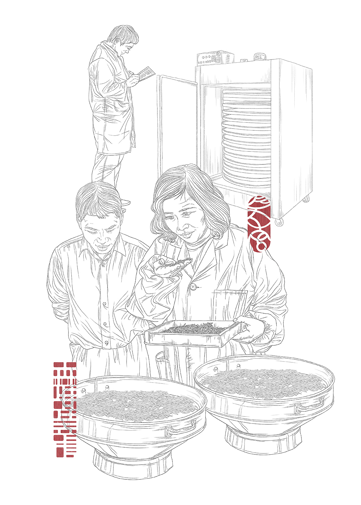 “昌宁号茶铺”茶叶生产工艺流程插画绘制（图ZOTQxODcxOTI=） - 商业插画 - 站酷设计师森特笑虎原创素材 - 站酷ZCOOL