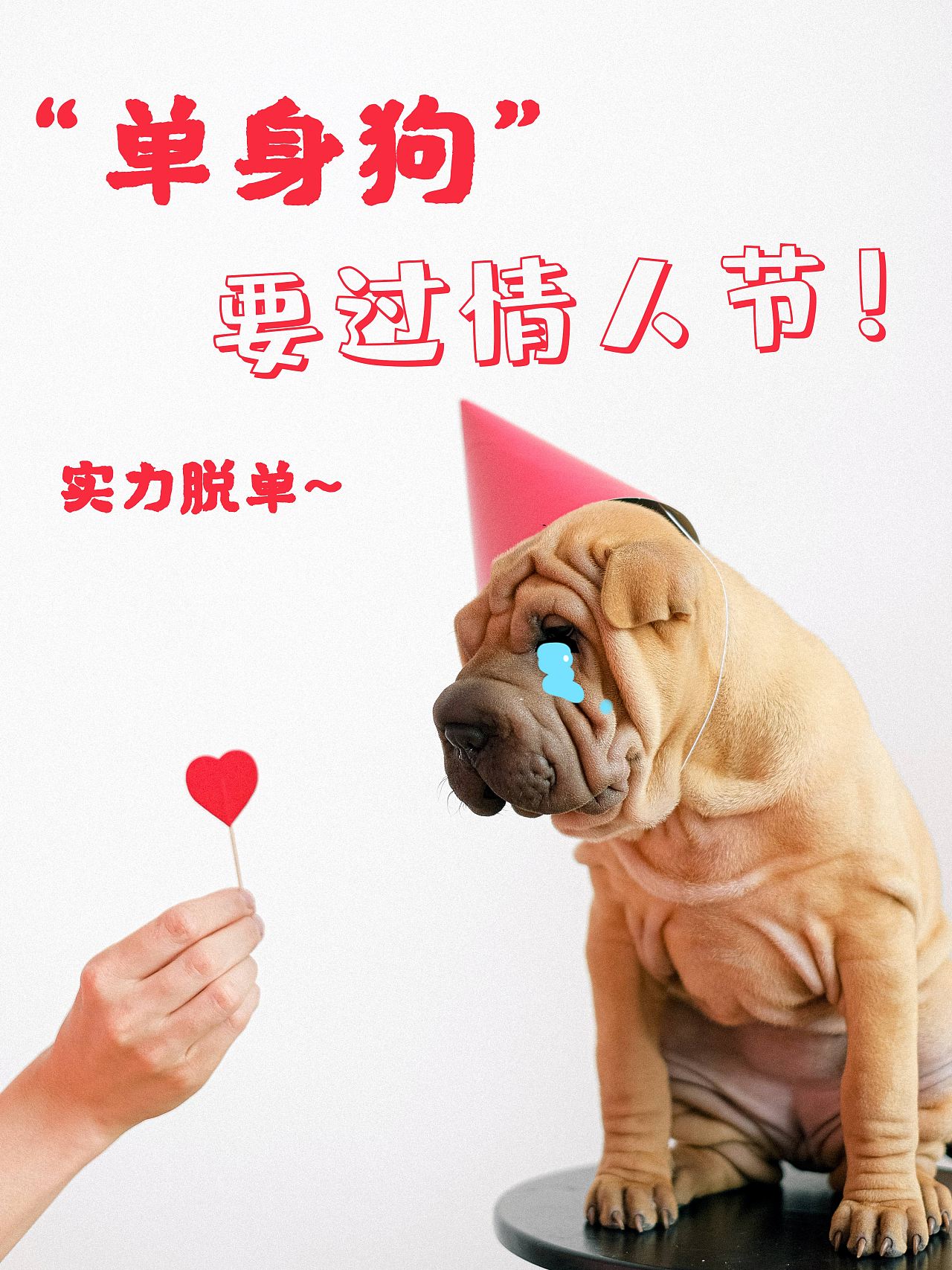 情人节单身狗商业海报