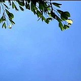 ID_Brave的头像