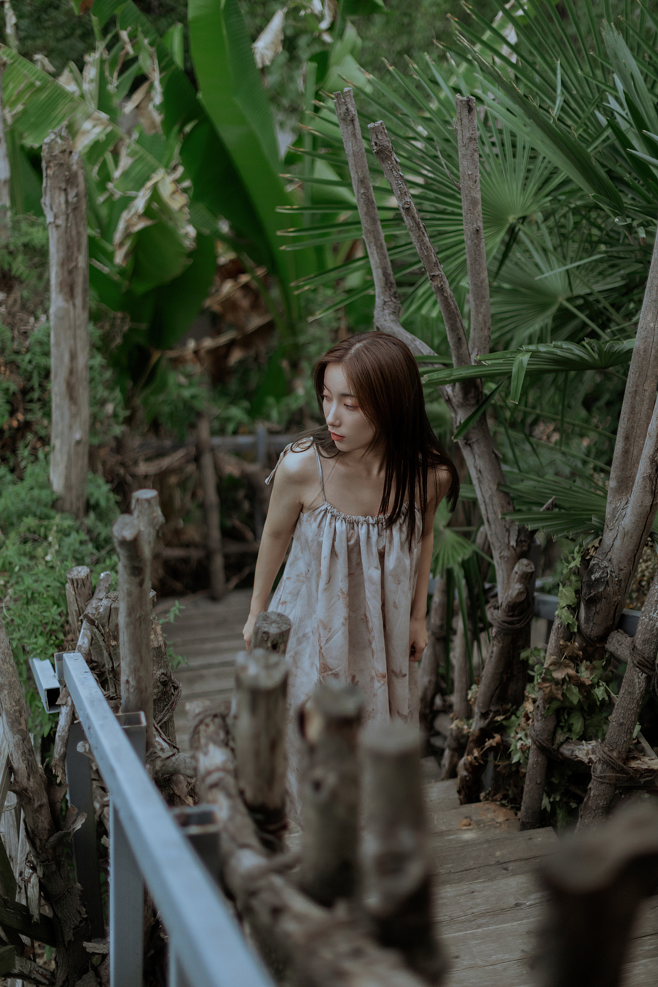 夏天最后的绿意