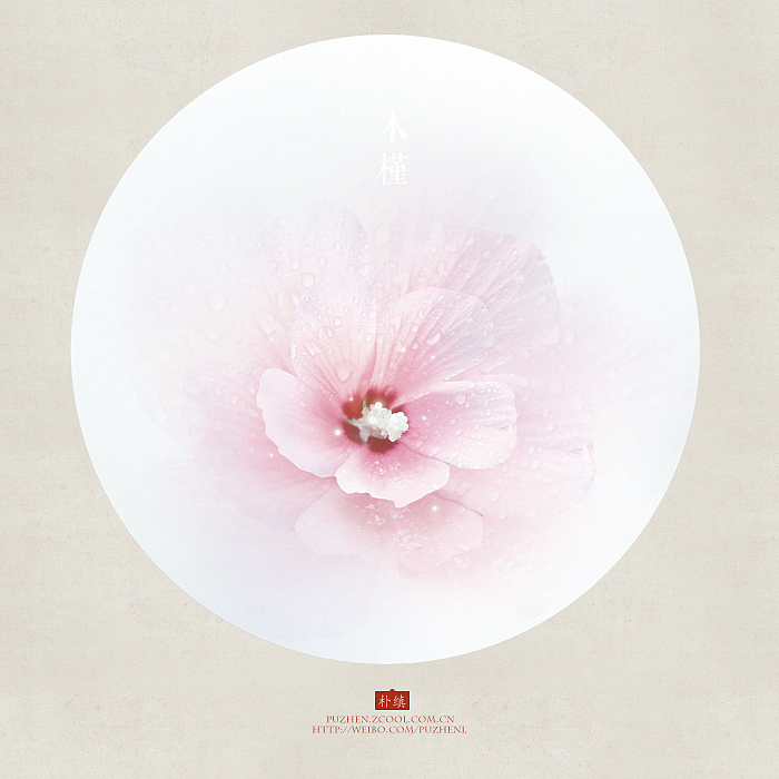 花語集丨珠光色漫（图ZMzQ2MjI3Njg=） - 其他平面 - 站酷设计师朴缜原创素材 - 站酷ZCOOL