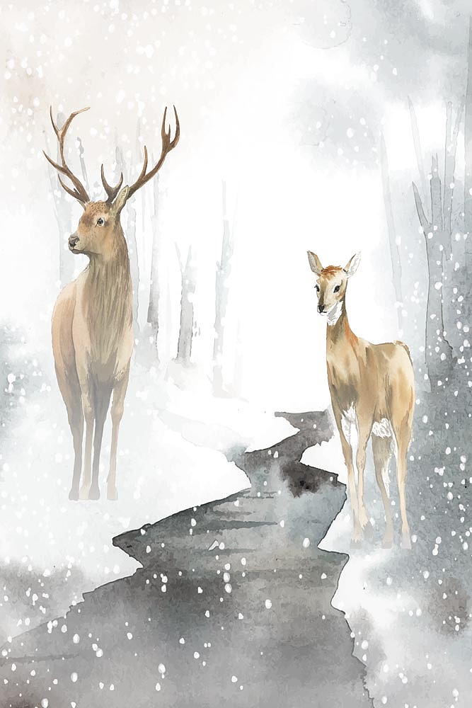 2021小清新（图ZMjkwNzcyNTA4） - 商业插画 - 站酷设计师窗帘图库原创素材 - 站酷ZCOOL