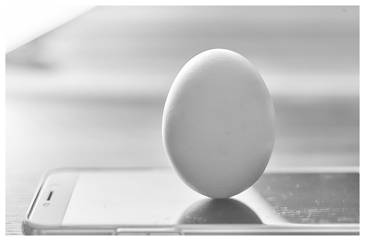 手机摄影“蛋定”
