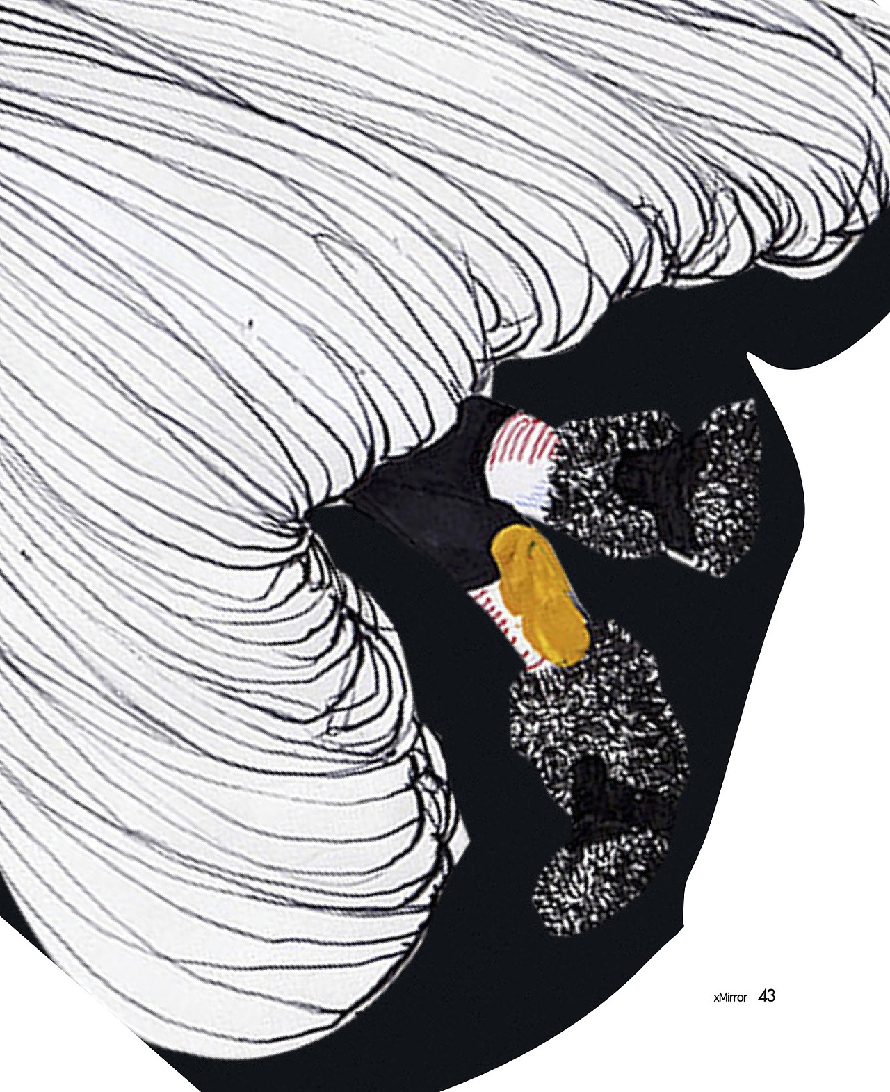 (平面设计）学生杂志 X mirror 03