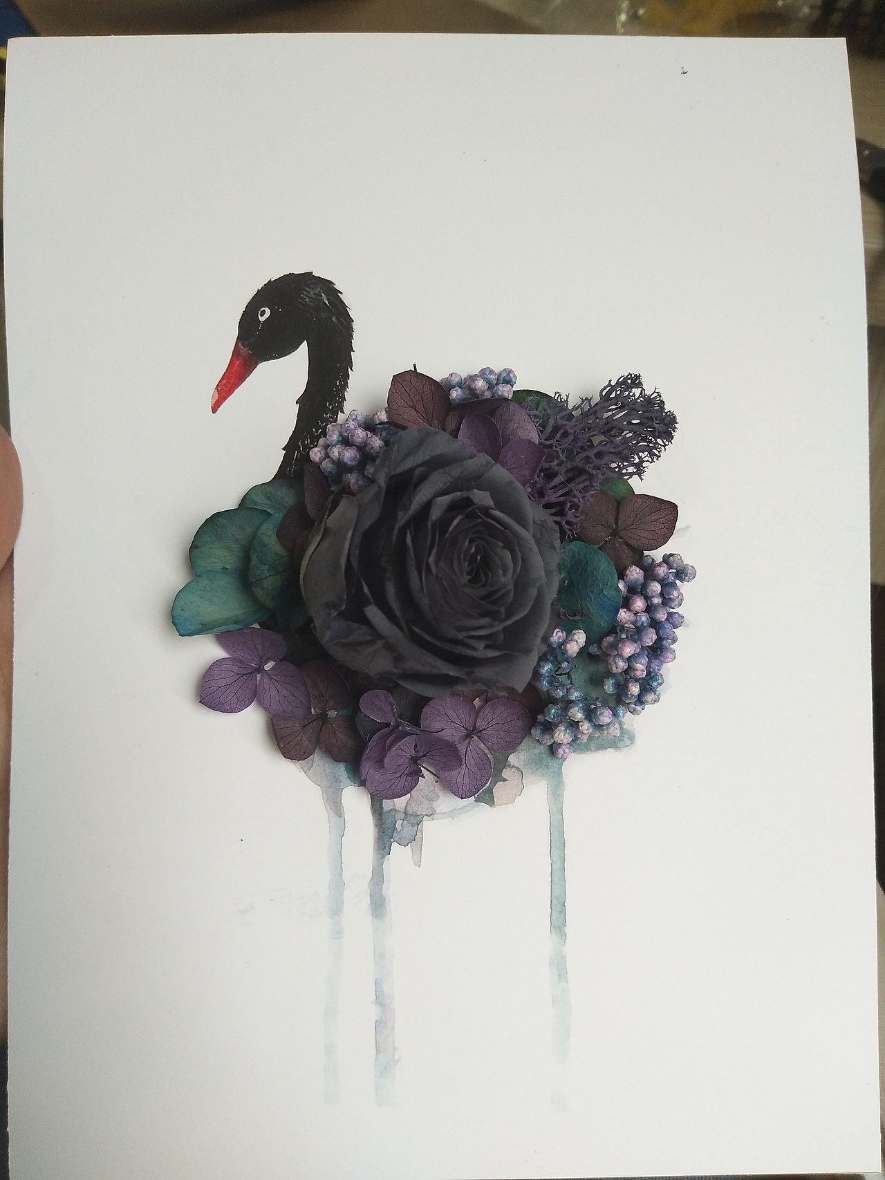 永生花插画画框|插画|艺术插画|赵阿弧_原创作品-站酷(zcool)