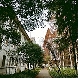 mean_scholar的头像