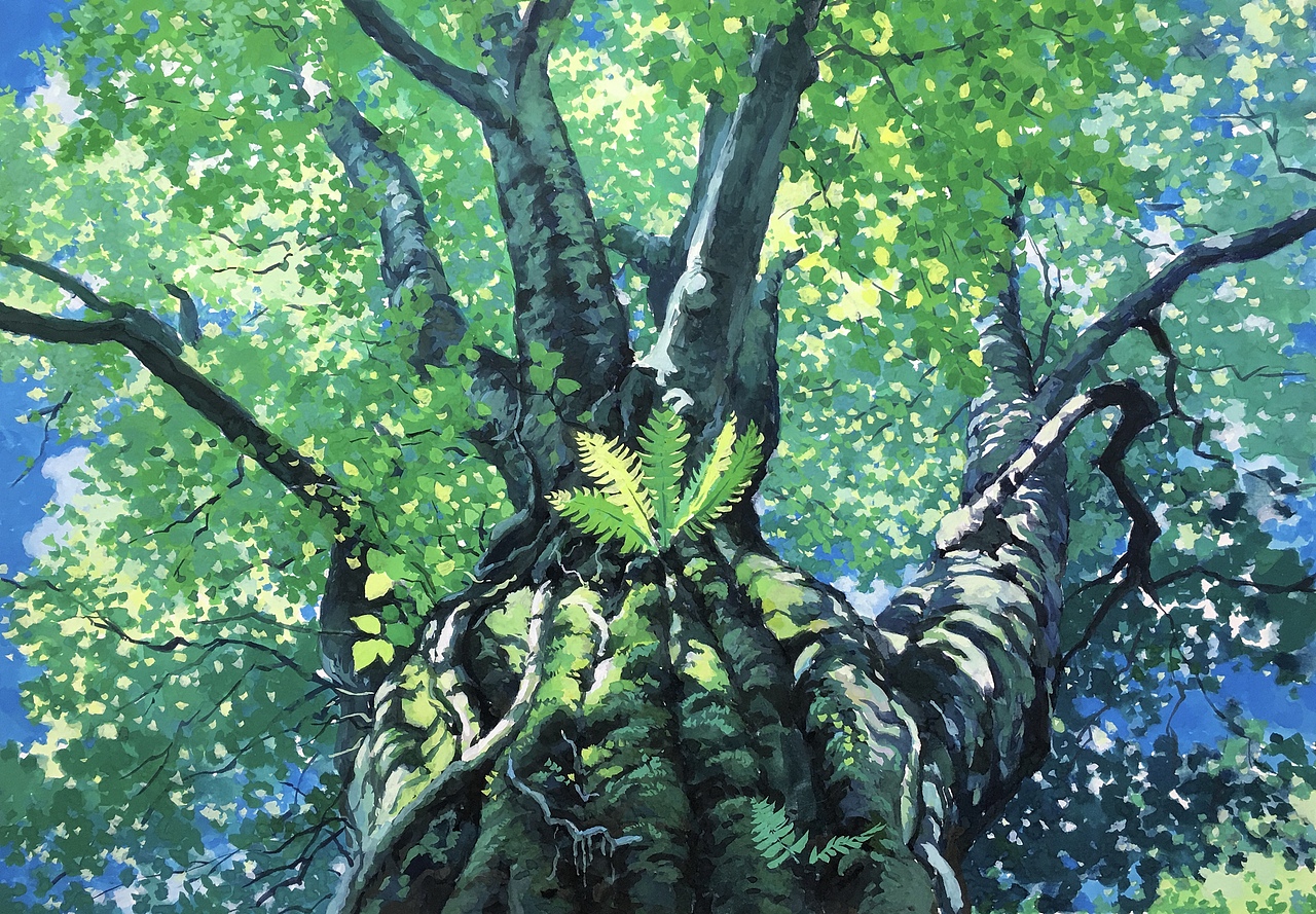原创水彩插画之老樟树